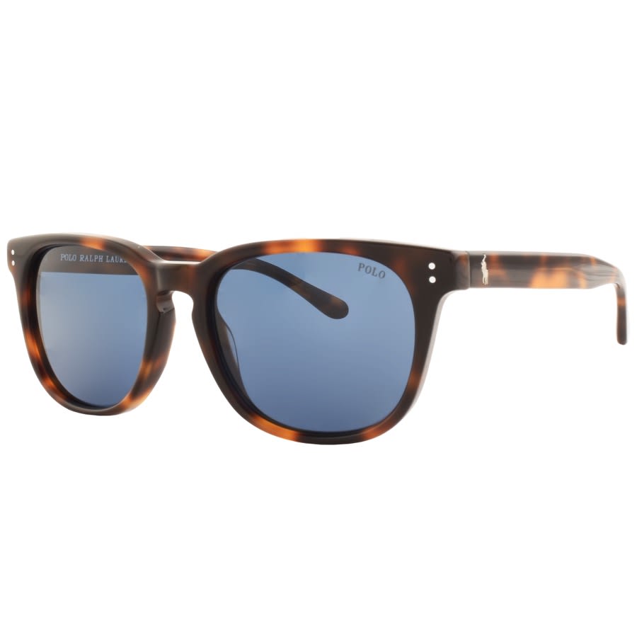 Alternative Image for ProductRalph Lauren Polo Player Sunglasses Brown1